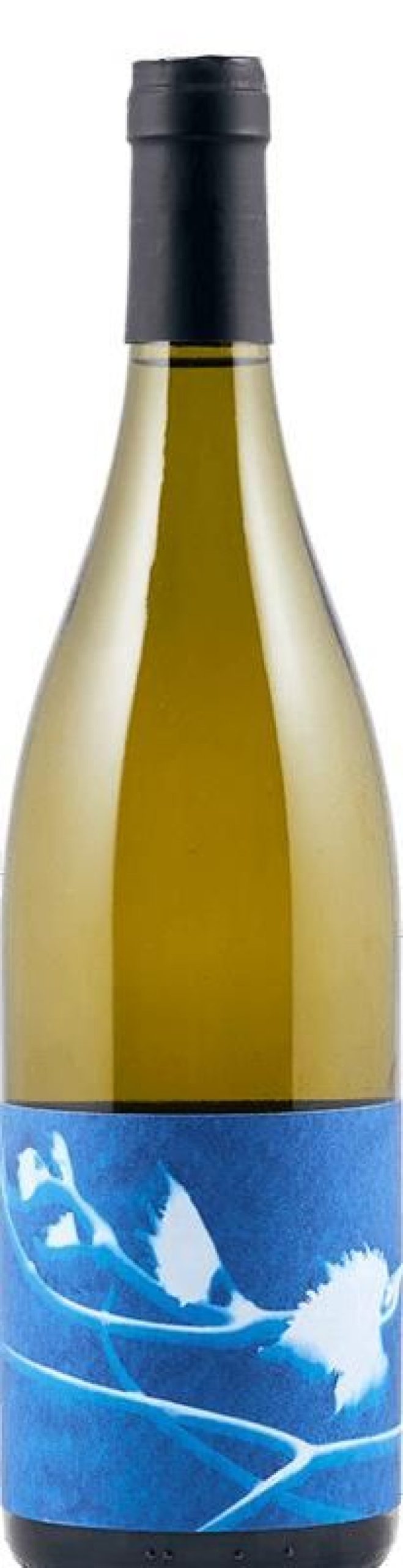 Themen Thomas Puechavy | Thomas Puechavy Le Rayon Chenin Blanc Loire 2021