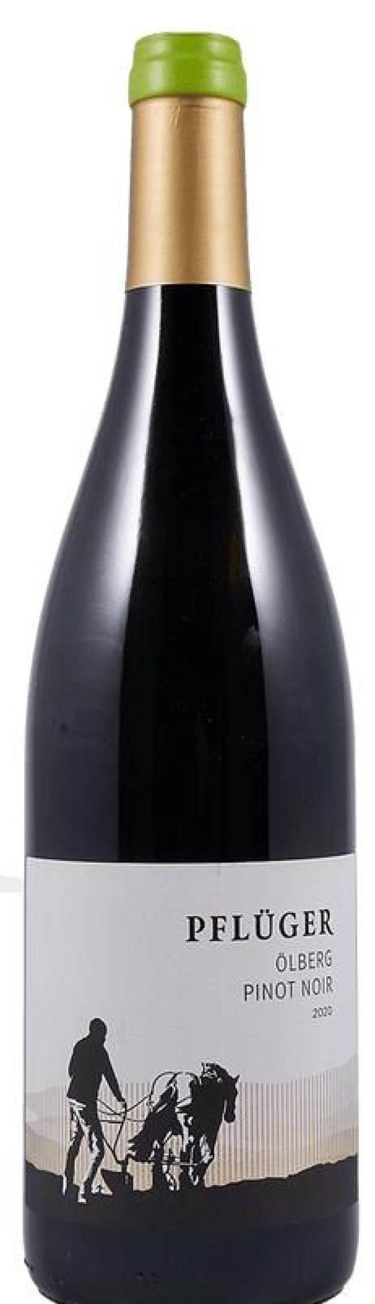 Rotwein Weingut Pflüger | Weingut Pfluger Pinot Noir Olberg